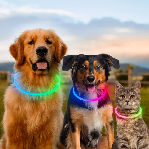 Miniatura 6 de Collares de perro iluminados, collar de perro Dlitk LED recargable por USB, 1 unidad, collar brillante de poliuretano termoplástico para perros