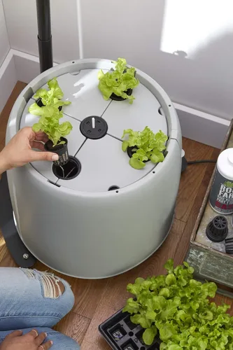 Miniatura 5 de Raíz granja jardín hidropónico sistema, Estándar