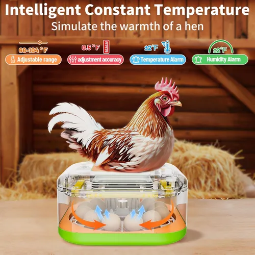 Miniatura 6 de Incubadora para incubar huevos, control de temperatura y humedad, día de incubación e incubación automático y ajustable, vela de huevos incorporada