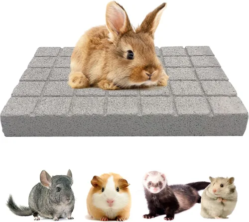 Miniatura 12 de BNOSDM Almohadillas de garra de conejo, almohadillas para rascar conejo, piedra de lava de hámster natural para rechinar dientes, tablero rascador