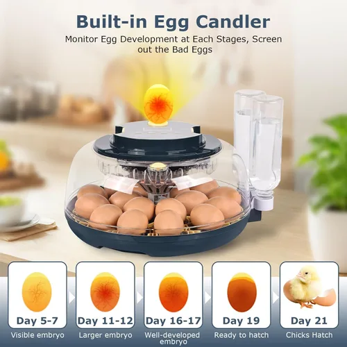 Miniatura 7 de Incubadoras para incubar huevos, incubadora de 18 huevos con vela de huevos, girador automático de huevos, control de temperatura y humedad, día