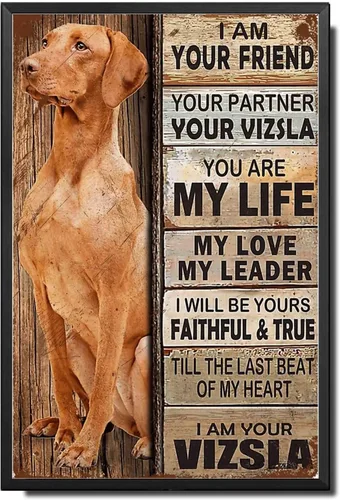 Miniatura 26 de Letrero de Metal Letrero de Hojalata Arte de Pared Vintage I Am Your Friend Regalo para Amantes de Schnauzer Arte de Pared Vintage Impresiones