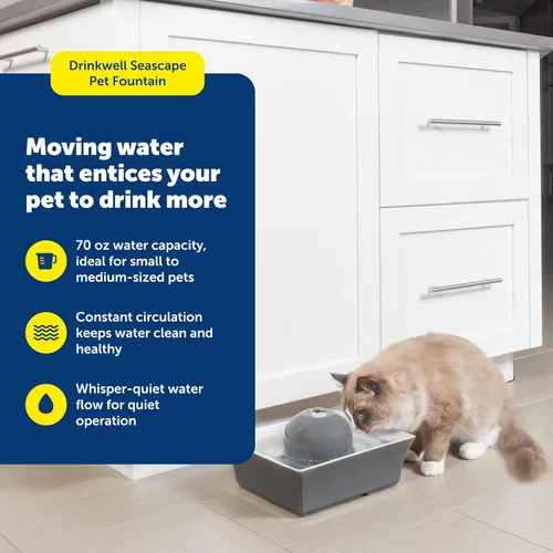 Miniatura 2 de PetSafe Drinkwell - Fuente de agua de cerámica para mascotas, dispensador automático silencioso de 70 onzas para gatos y perros con filtros, diseño
