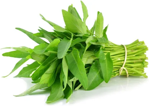 Miniatura 5 de Gaea's Blessing Semillas Ong Choy Seeds - Kong Xin CAI Kangkong - Semillas sin OMG con instrucciones de plantación fáciles de seguir 94% de tasa