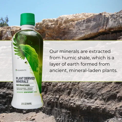 Miniatura 4 de Youngevity Minerales líquidos derivados de plantas, más de 77 minerales naturales sin alterar, 19,000 mg de sólidos minerales vegetales, esquisto