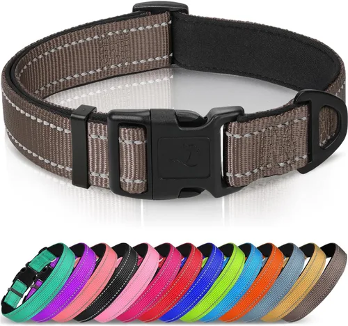 Miniatura 17 de Joytale - Collar reflectante para perro, collar de nailon transpirable con acolchado de neopreno suave para mascotas, ajustable para perros Verde
