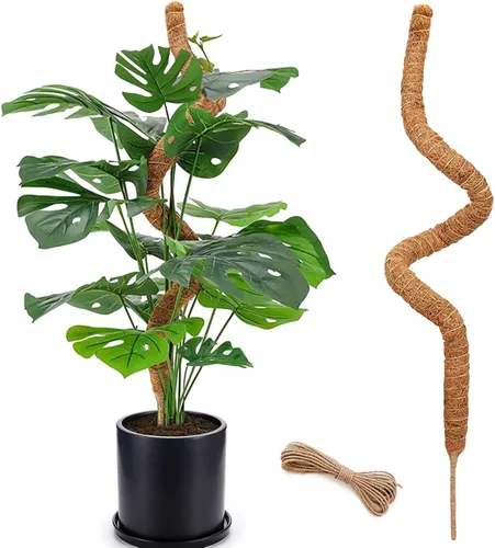 Poste de musgo de 48 pulgadas, poste de musgo flexible para plantas Monstera, postes de musgo altos para plantas trepadoras de interiores, soporte