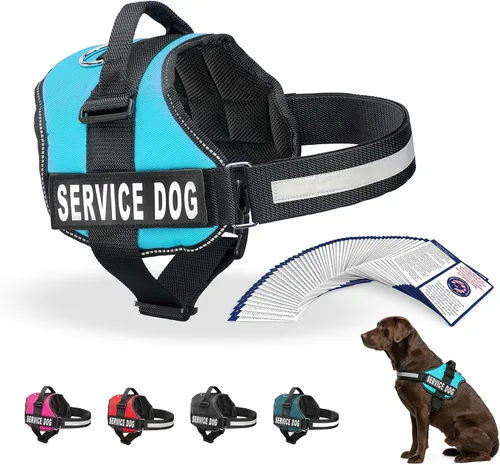 Miniatura 27 de Arnés Industrial Puppy para perros con correas y asa, y chaleco con parche reflectante, en un cómodo diseño de malla, Bright Red 2-Rojo Brillante