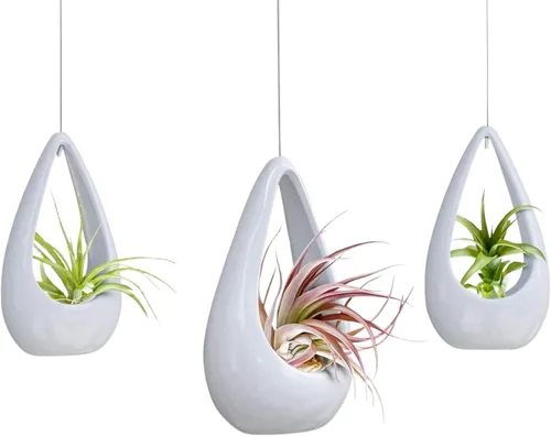 Miniatura 9 de 23 Bees, Soporte colgante para plantas de aire, maceta de cerámica con colgador verde, contenedor pequeño flotante para suculentas, soportes