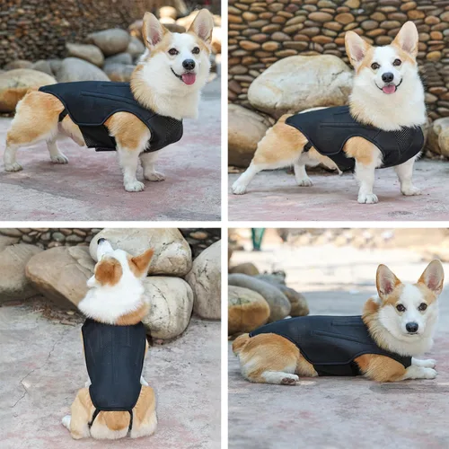 Miniatura 7 de IVDD - Soporte de espalda para perros, chaleco flexible de apoyo de espalda de perro salchicha para mascotas, soporte de espalda para mascotas