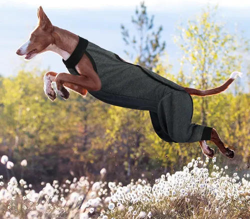 Miniatura 7 de ROZKITCH Manga de pierna para cirugía para perros, piernas traseras, macho y hembra para evitar lamer heridas, codo, rodillera, traje