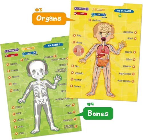 Miniatura 6 de BEST LEARNING i-Poster My Body - Juguete educativo interactivo para hablar de anatomía humana Aprende partes del cuerpo, órganos, músculos