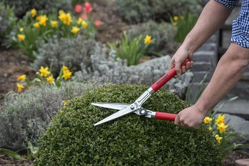 Miniatura 7 de BERGER - Cizalla Topiary 2510 con mango de madera de haya con cuchillas autoafilables, longitud 17.7 in