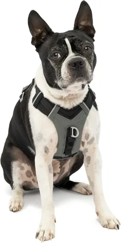Arnés para perro Kurgo Journey Air - Ajuste seguro para perros activos - Pecho acolchado - Tela ligera Ripstop - Malla transpirable - Borde Negro
