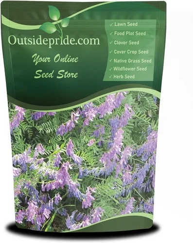 Miniatura 8 de Outsidepride Hairy Vetch Cover Crop Seeds – 1 oz tolerantes al frío, resistentes al invierno, ideales para mejorar el suelo, pastos verdes, heno