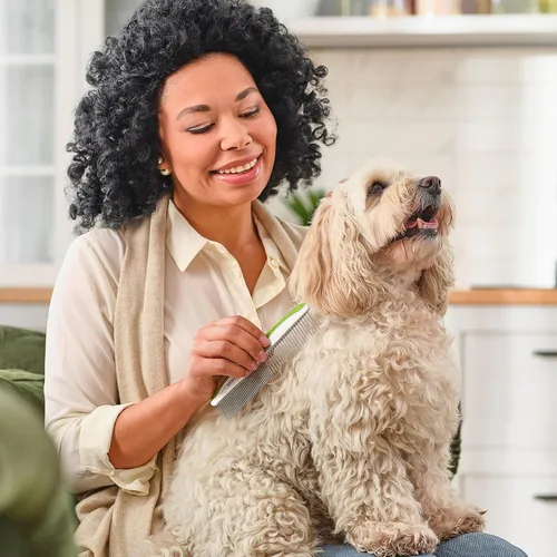 Miniatura 5 de Peine para perros y gatos – Elimina enredos, nudos y pelo enmarañado – Herramienta de aseo con dientes de acero inoxidable y mango antideslizante