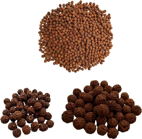 Naisha Natural Rudraksh - 121 cuentas sueltas de Rudraksha Mala, cuentas de oración genuinas de meditación del Himalaya, cuentas Bodhi de 0.35-0.55