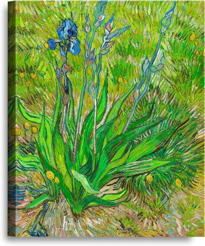 Miniatura 114 de A&T ARTWORK Noche estrellada sobre el Ródano de Vincent Van Gogh. Tamaño del marco: 36 x 30 pulgadas, tamaño de la imagen: 30 x 24 pulgadas