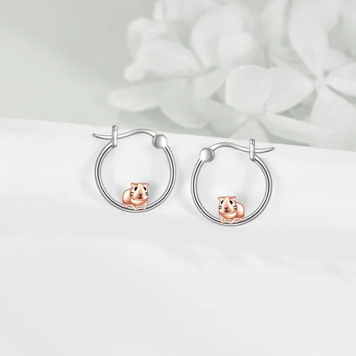 Miniatura 52 de VONALA Bonitos aretes de aro de plata de ley 925, regalos de cumpleaños para mujer