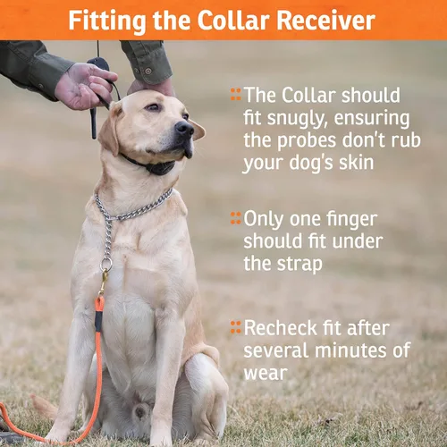 Miniatura 8 de SportDOG Sistema de valla recargable de marca en el suelo, impermeable, collar recargable con tono, vibración y estática, expandible para contener