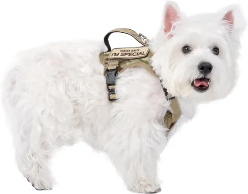 Miniatura 11 de Arnés táctico para perro, chaleco táctico para cachorros, con mango de goma, K9, ajustable y militar, chaleco para mascotas, arnés