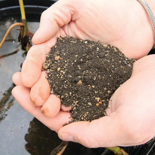 Miniatura 6 de Aquascape Medio de Plantación para Estanques de Plantas Acuáticas, Tierra Nutritiva para Jardines Acuáticos, Apoya un Crecimiento Fuerte de Raíces