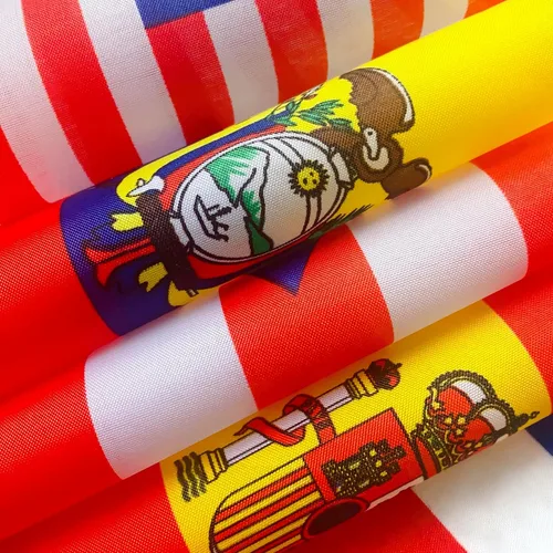 Miniatura 5 de TSMD Juego de banderas de escritorio de habla hispana de 22 países, pequeñas mini banderas latinoamericanas de oficina para decoración del mes