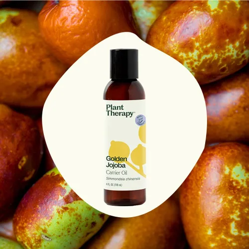 Miniatura 4 de Plant Therapy Aceite portador dorado de jojoba de 4 onzas, 100% puro, prensado en frío, natural y libre de OGM y aceite portador para aceites