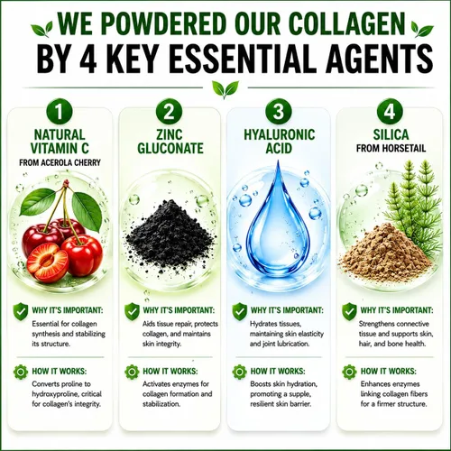 Miniatura 6 de Polvo de péptidos de colágeno con vitamina C y ácido hialurónico, de fuentes orgánicas más limpias y súper alta absorción, multitipo hidrolizado I