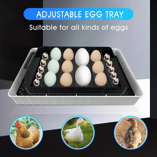 Miniatura 6 de 12 Incubadoras Automáticas de Huevos para Incubar Huevos con Control Inteligente de Temperatura, Volteador Automático, Ovoscopía LED para Huevos