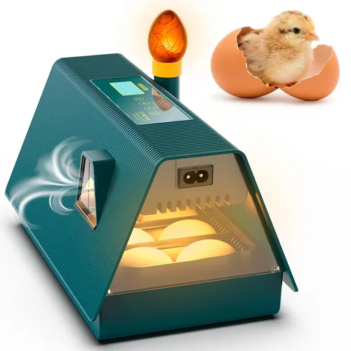 Okkobi Incubadora M10 para incubar huevos, ideal para todas las edades, girador automático y control de humedad, vela integrada, 10 huevos, verde y
