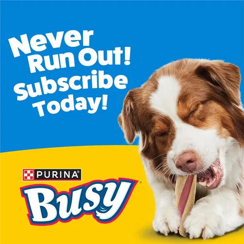 Miniatura 12 de Purina Busy with Beggin' Twist'd Golosinas Masticables de Hueso para Perros Adultos - Bolsa de 6 ct