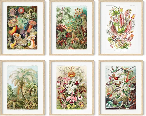 Miniatura 44 de HAUS AND HUES Impresiones de arte asiático, juego de 6 decoraciones japonesas contemporáneas de pared, pinturas de hokusai, carteles de ondas, Juego