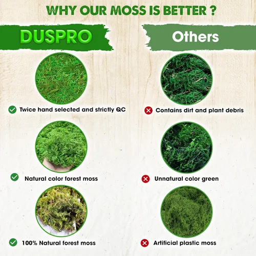 Miniatura 3 de DUSPRO Musgo Verde Mejorado para Manualidades, Musgo Real de Bosque en Plantas en Maceta, Musgos Decorativos para Centros de Mesa de Boda, Navidad
