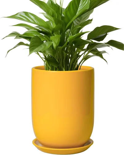 Miniatura 45 de Maceta de Cerámica para Plantas de Interior de 5 Pulgadas - Maceta Redonda para Plantas Suculentas con Agujero de Drenaje y Platillo, Decoración