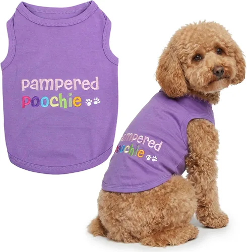 Miniatura 37 de Parisian Pet - Camiseta bordada para perros y gatos, con texto en inglés Sexy and I Know It, XS Sexy y lo sé