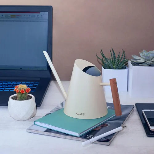 Miniatura 9 de AnaVeRa Regadera para plantas de interior, pequeña lata de agua de acero inoxidable con boquilla larga recta, regadera con mango de madera para casa