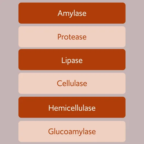 Miniatura 4 de Bacillus B3 Probiótico a base de esporas + enzimas para la salud intestinal y el apoyo del microbioma, probiótico diario estable con Bacillus