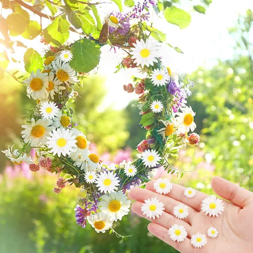 Miniatura 5 de 80 piezas de flores de margarita de resina, dijes de flores de CCOZN con parte trasera plana con caja de almacenamiento, pequeñas cuentas de flores