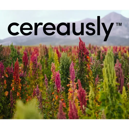 Miniatura 9 de CEREAUSLY Quinoa blanca orgánica – Quinoa real premium de Bolivia – Quinoa Kosher y sin OMG – Quinoa vegana y con cuota de gluten – 25 libras
