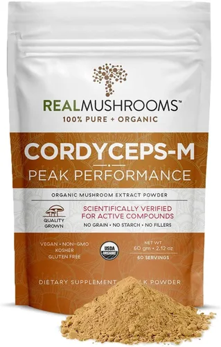 Miniatura 3 de Real Mushrooms Mezcla de chocolate caliente (15 porciones) y Cordyceps (60 porciones) en polvo – Suplemento en polvo de hongos para energía