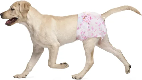 Miniatura 10 de Dono Pañales desechables para perras, pañales súper absorbentes para perros, con tecnología de gel de secado rápido, a prueba de fugas, ajuste