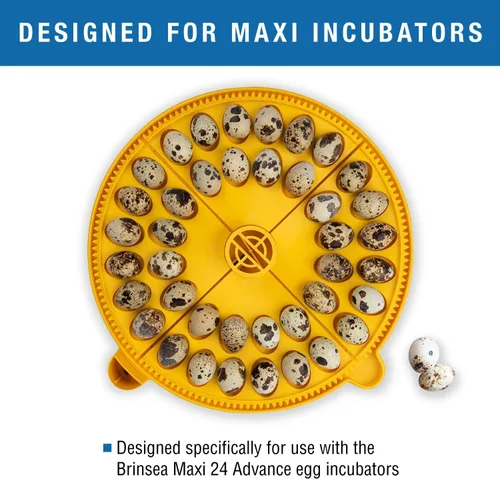 Miniatura 2 de Brinsea Inserto de cuadrante de huevos pequeños para sistema de incubadora Maxi Advance, se adapta a 40 huevos de tamaño de faisán o codorniz