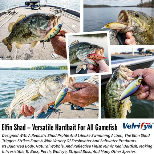 Miniatura 3 de Crankbaits/Jerkbait híbrido para pesca de lubina, buceo poco profundo, manivela para lucio, agua fría para pesca de invierno y primavera, para agua