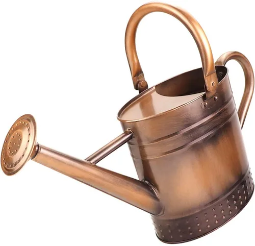 Regadera de metal de 1 galón con boquilla extraíble, bonita lata de agua de acero galvanizado con diseño en relieve para plantas de interior y Bronce
