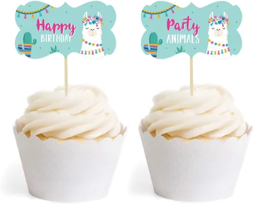 Miniatura 17 de Andaz Press Fiesta de cumpleaños de llama y cactus, banderín colgante personalizado con cuerda, cumpleaños número 16 de Emma, 5 pies, 1 juego