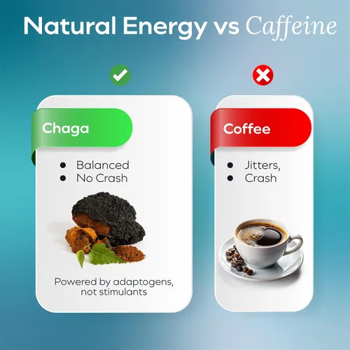 Miniatura 3 de Gomitas de hongos Chaga Detox - Suplemento de apoyo inmunológico antioxidante y hongos - 250 mg de cuerpos fructíferos - Suplementos de claridad