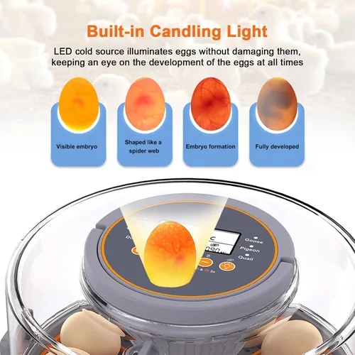 Miniatura 3 de 12 incubadoras de huevos para incubar huevos, incubadora de huevos con rotación automática de huevos, control de humedad y temperatura, vela
