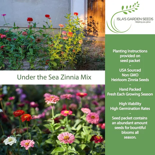Miniatura 2 de Semillas de zinnia "Under The Sea Mix" para plantar, más de 200 semillas de flores por paquete, semillas de jardín de Isla