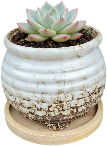 Miniatura 12 de Bonita maceta circular de cerámica para decoración del hogar y jardín, suculentas, cactus, maceta no incluida (azul, 3.19 pulgadas)
